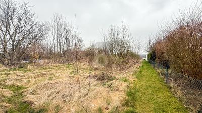 BAUEN NACH IHREN VORSTELLUNGEN - Grundstück Barsinghausen | Angebot:24810014