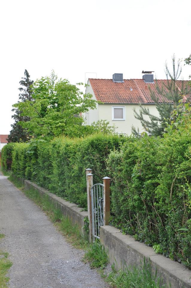 Reihen-Endhaus mit 388 m² Grundstück in 31228 Peine-Telgte