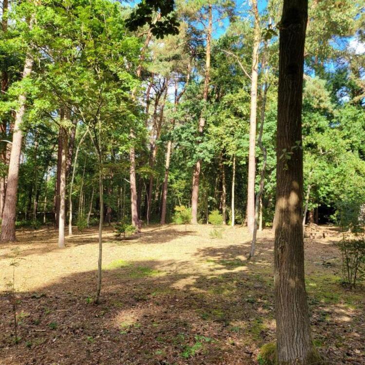 Haus in unmittelbarer Nähe zum Natursee in HannoverGroßburgwedel