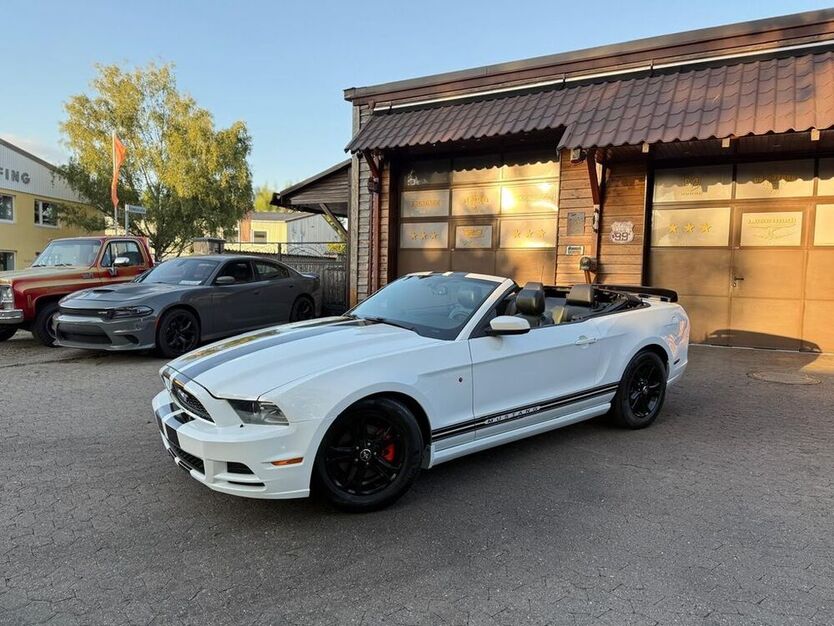 Mustang