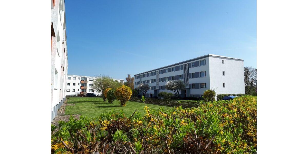 Erdgeschoßwohnung Garbsen - 1 Zimmer, 34 m&sup2;, 275&euro; | Angebot:24175514