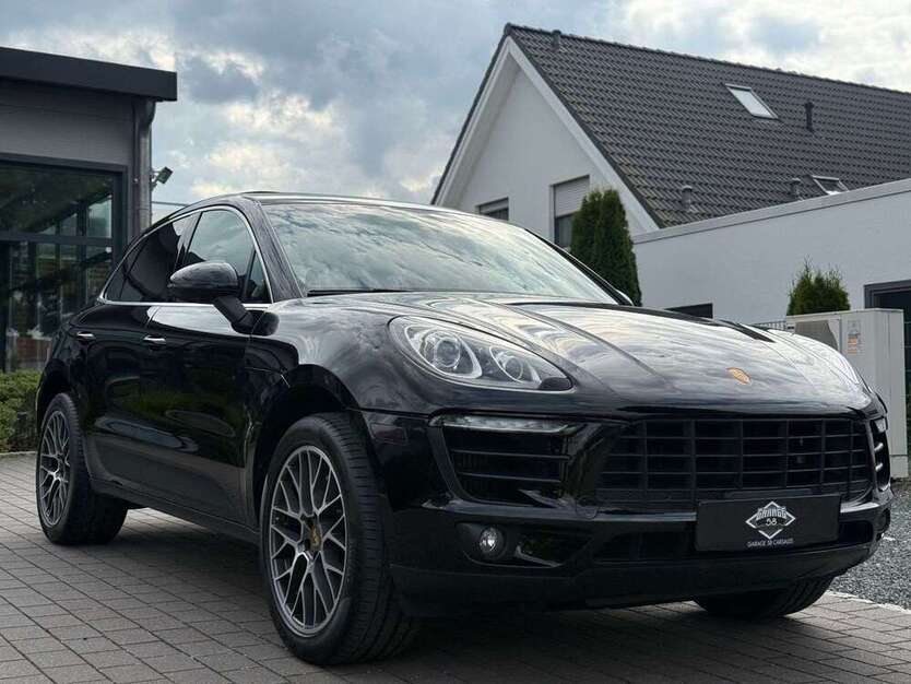 Macan