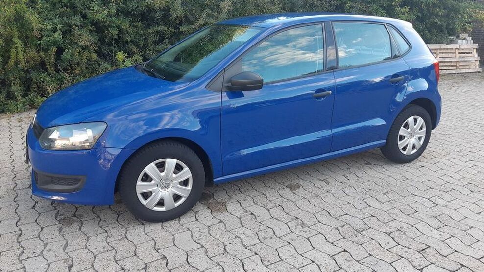 Polo