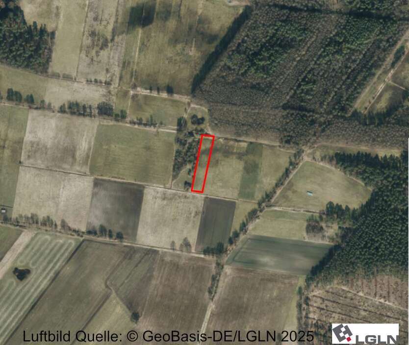 Grundstück in Burgdorf 11.796 € 3932 m² zimmer