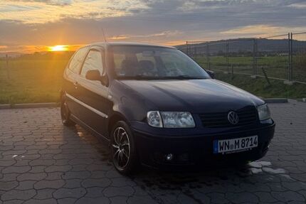 VW Polo 215.600 km 799 &euro; Elze 31008