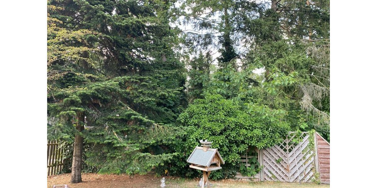 Provisionsfrei* Fachwerk-Traum für Indidualisten - Einfamilienhaus Wedemark Elze/Hoheheide | Angebot:27082180