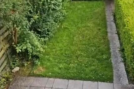 Zentral gelegenes Reihenmittelhaus mit Garten zum 01.02.2026 zimmer