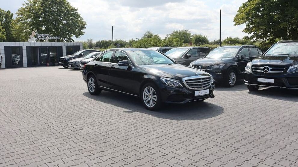 C 250