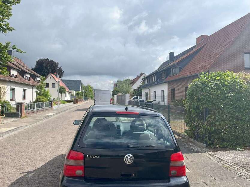 Lupo