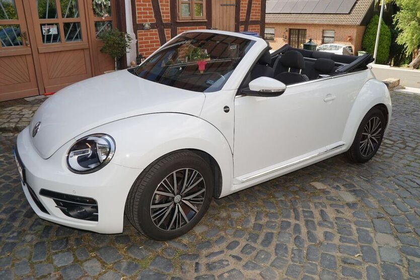 Beetle