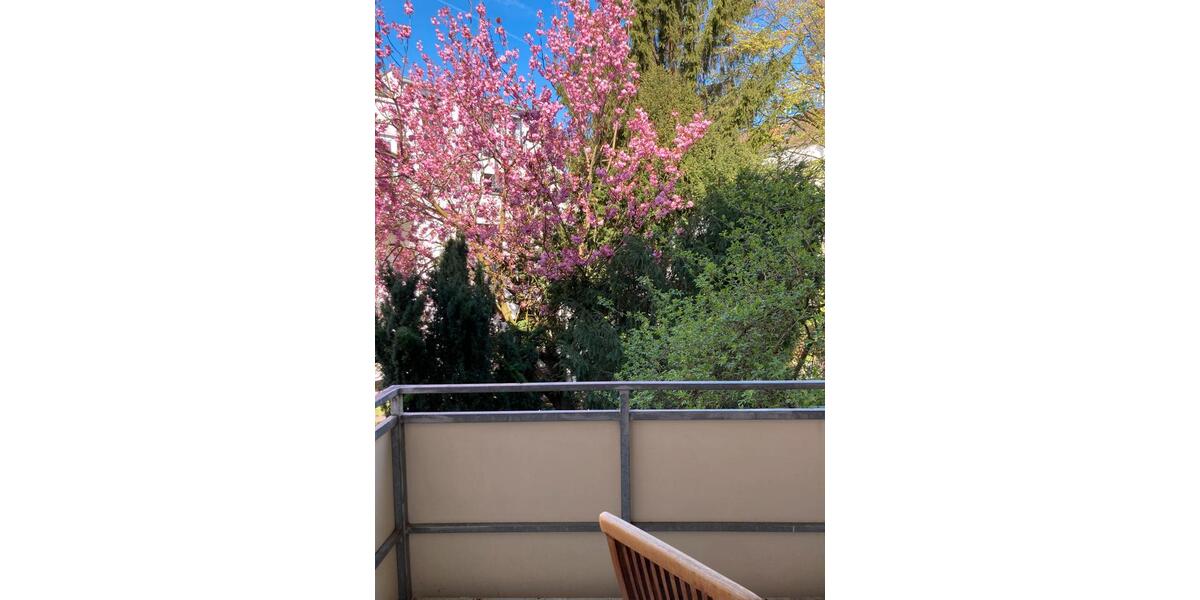 Etagenwohnung Hannover Mitte - 2 Zimmer, 74 m&sup2;, 340.000&euro; | Angebot:27462574