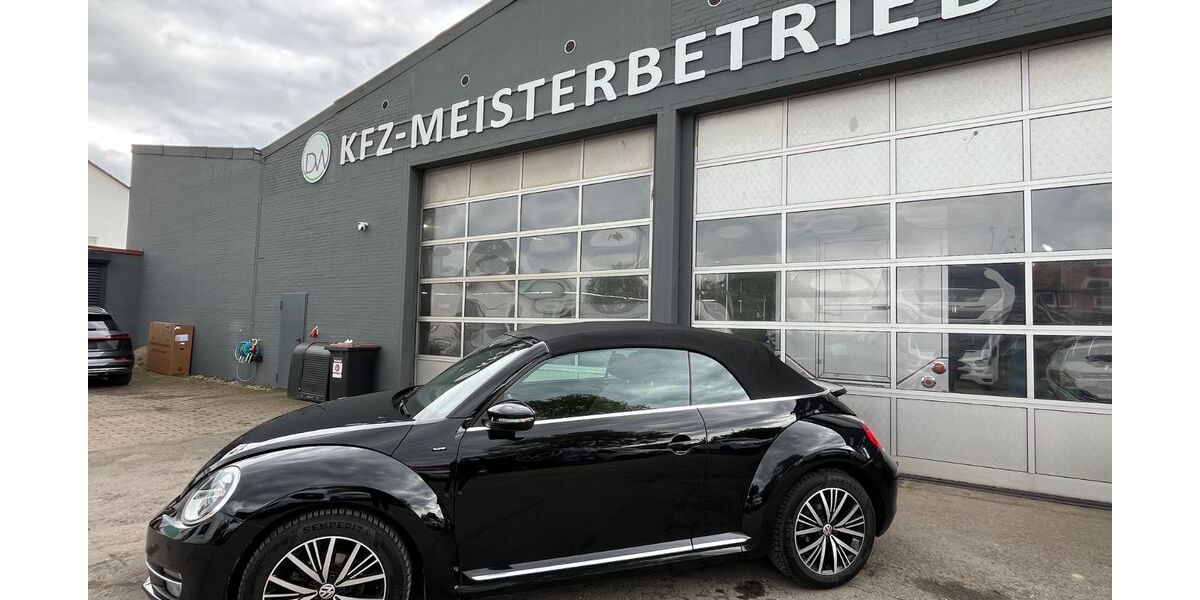 VW Beetle 110.000 km 12.200 &euro; Springe 31832