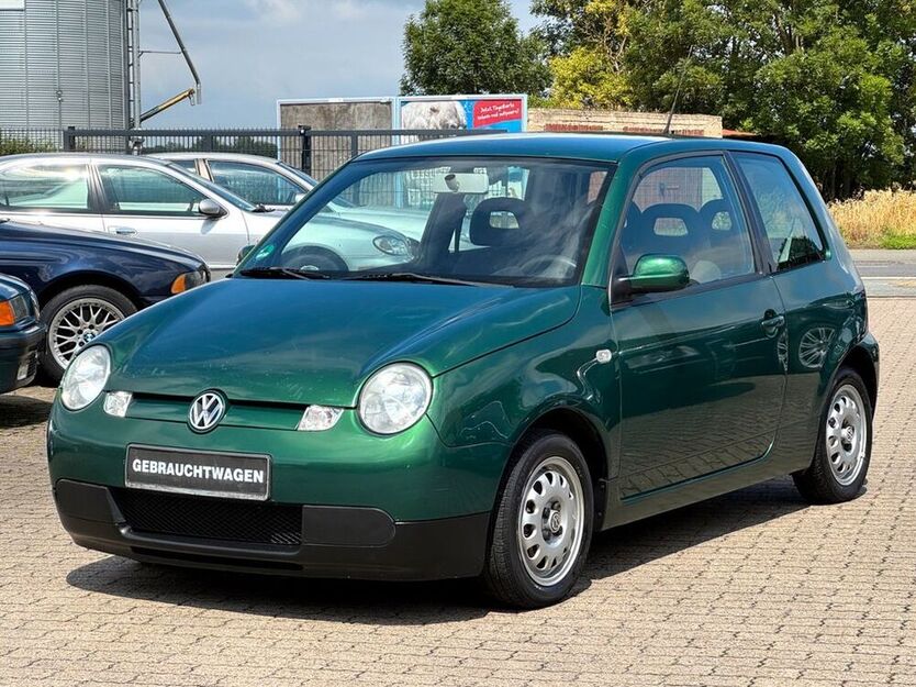Lupo