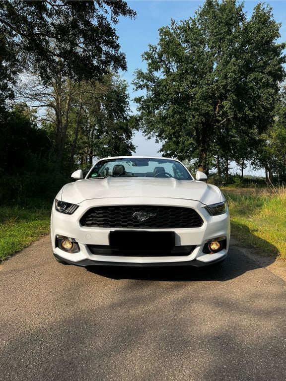 Mustang
