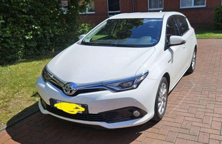 Auris