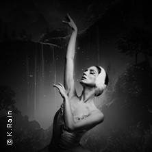 Grand Classic Ballet - Schwanensee - Jenseits der Bühne mit live Streichquartett 30.05.2026 halle39