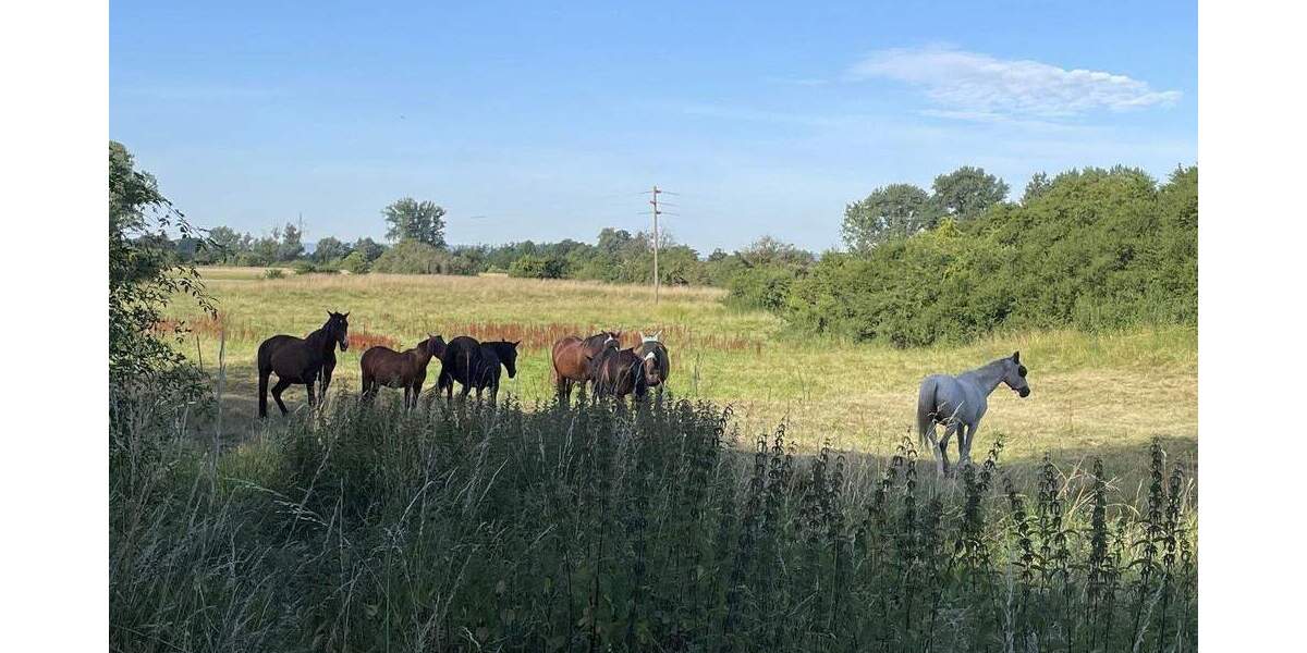 Bungalow Laatzen Alt-Laatzen - 5 Zimmer, 161 m&sup2;, 680.000&euro; | Angebot:24376790