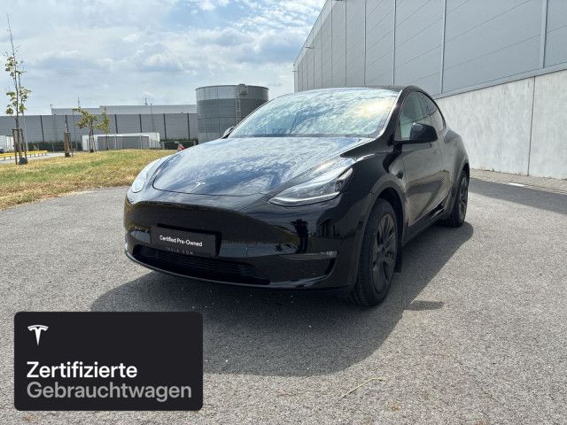 Model Y