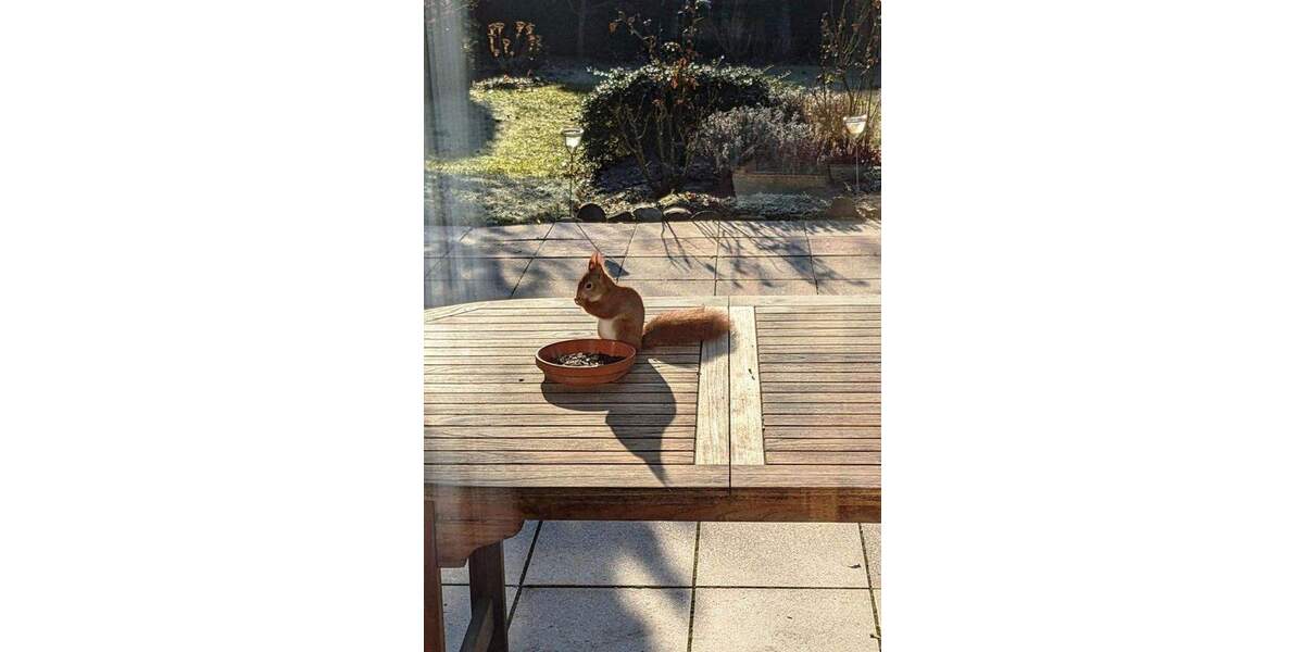 Doppelhaushälfte Hannover Badenstedt - 6 Zimmer, 140 m&sup2;, 630.000&euro; | Angebot:25628901