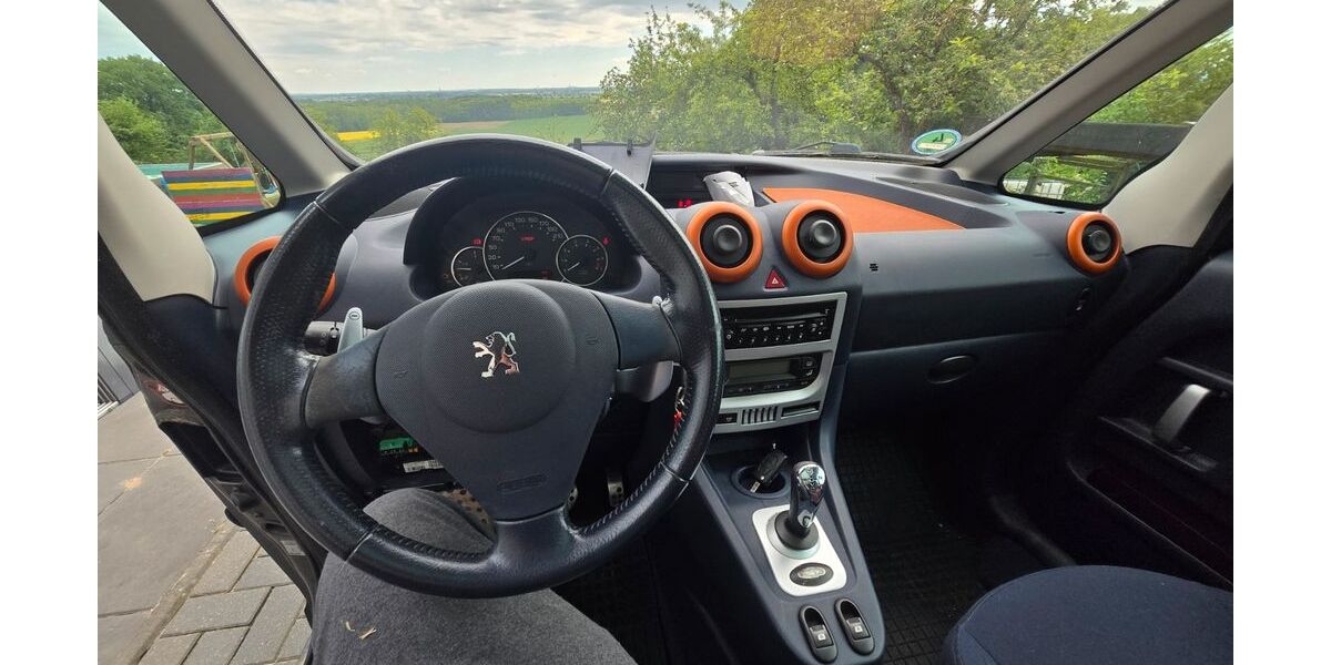 Peugeot 1007 167.456 km 600 &euro; Springe 31832