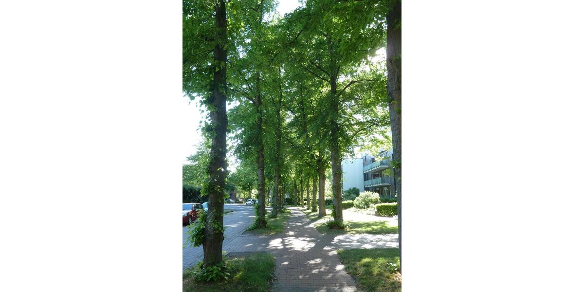 Etagenwohnung Sehnde - 2 Zimmer, 68 m&sup2;, 790&euro; | Angebot:25198596