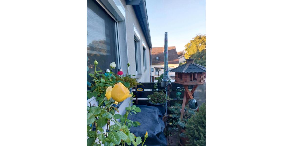 Etagenwohnung Langenhagen - 3 Zimmer, 80 m&sup2;, 269.000&euro; | Angebot:27286167