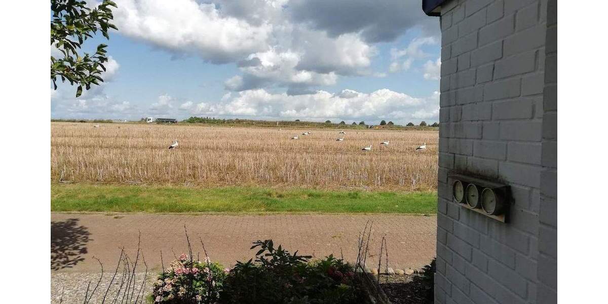 Bungalow Wunstorf - 4 Zimmer, 117 m&sup2;, 419.000&euro; | Angebot:25292249