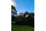 Etagenwohnung Hannover Vahrenwald-List - 2 Zimmer, 63 m&sup2;, 175.000&euro; | Angebot:27622163