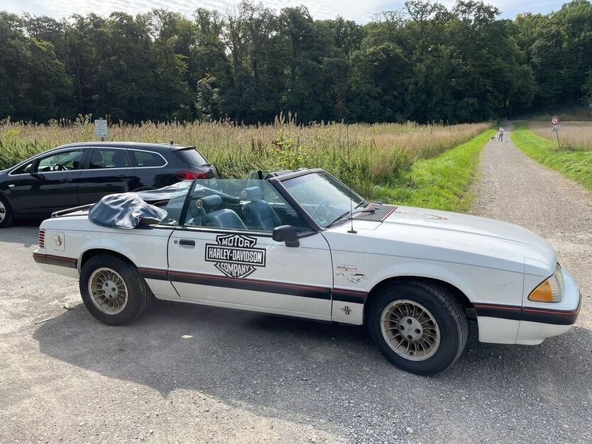 Mustang