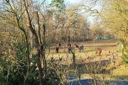 Haus Hannover Bothfeld-Vahrenheide - 7 Zimmer, 160 m&sup2;, 550.000&euro; | Angebot:24833132