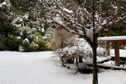 Haus Springe - 4 Zimmer, 220 m&sup2;, 1.400&euro; | Angebot:24433917