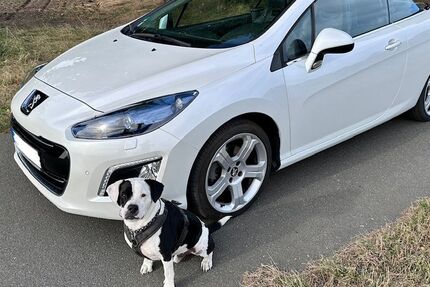Peugeot 308 37.000 km 9.900 &euro; Isernhagen 30916