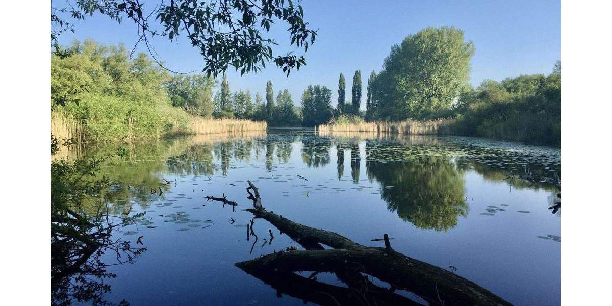 Bungalow Laatzen Alt-Laatzen - 5 Zimmer, 161 m&sup2;, 680.000&euro; | Angebot:24376790