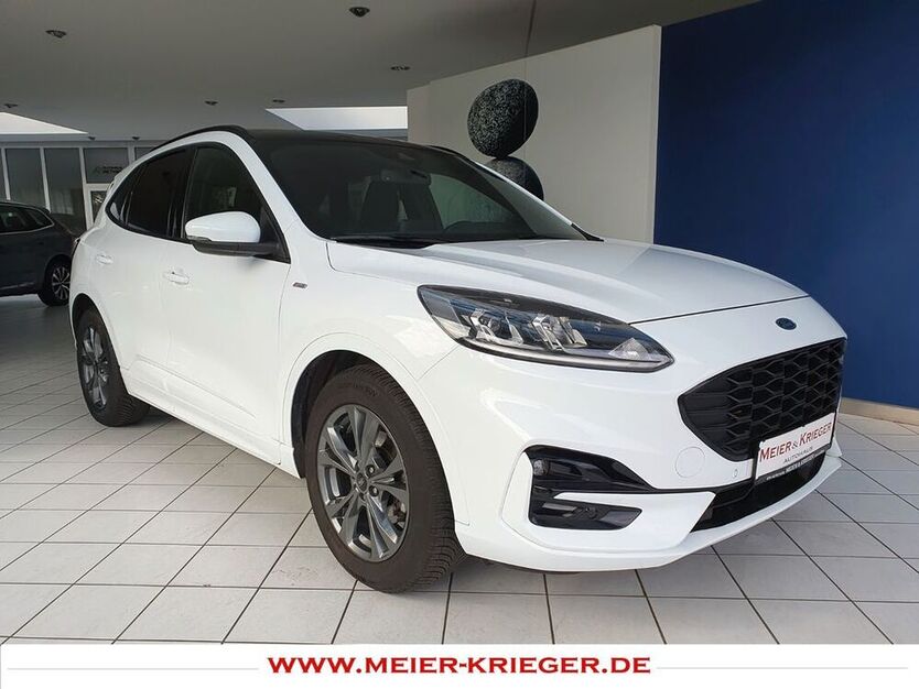 Kuga