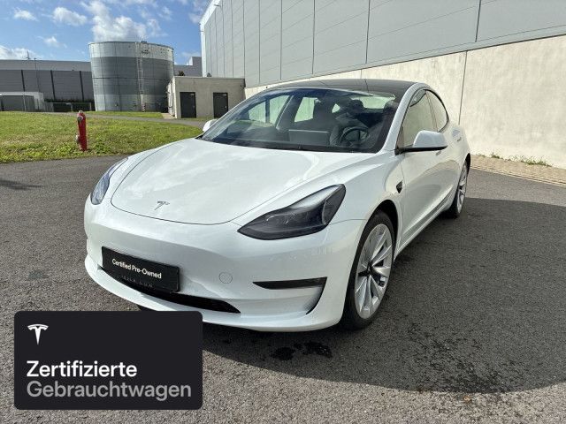 Model 3