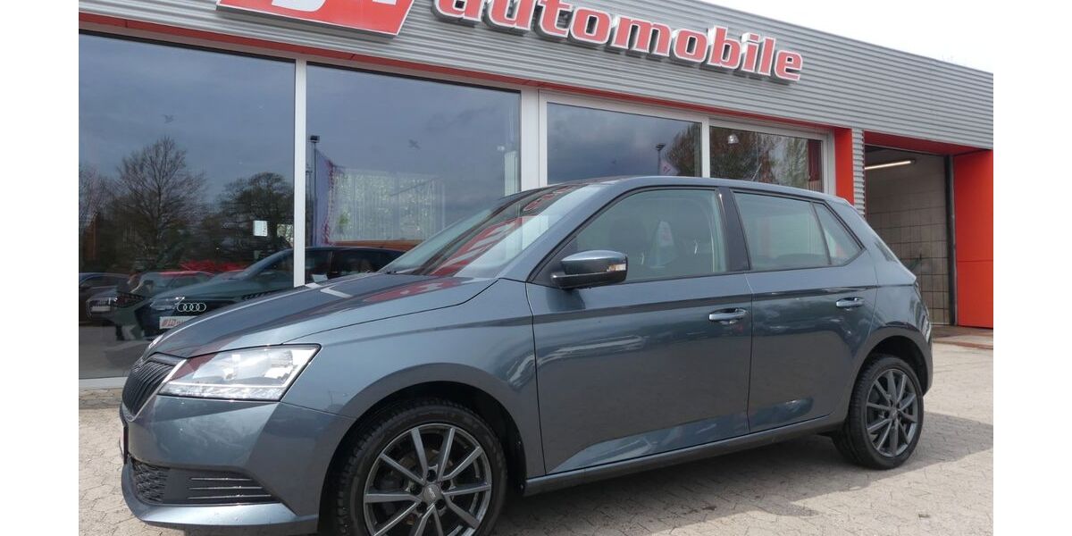 Skoda Fabia 50.000 km 10.980 &euro; Langenhagen 30855