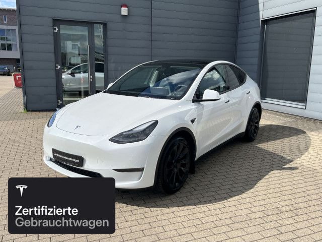 Model Y
