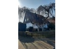 Einfamilienhaus Hannover Bothfeld-Vahrenheide - 6 Zimmer, 240 m&sup2;, 549.000&euro; | Angebot:27185316