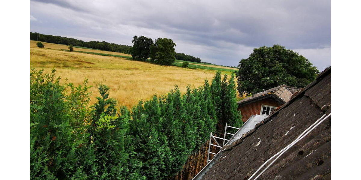 Mehrfamilienhaus, Wohnhaus Wedemark Abbensen - 1 Zimmer, 295 m&sup2;, 275.000&euro; | Angebot:26188522