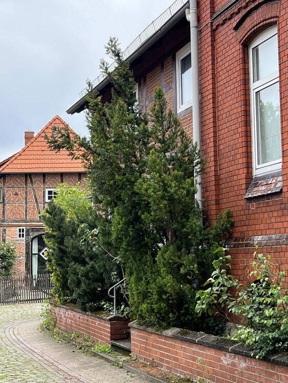 DG-Wohnung auf historischer Hofstelle im alten Dorf von Hemmingen nur 7 km vom AEGI