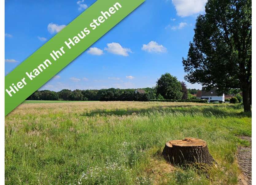 Haus zum Kaufen in Brelingen 400.750 € 166 m²