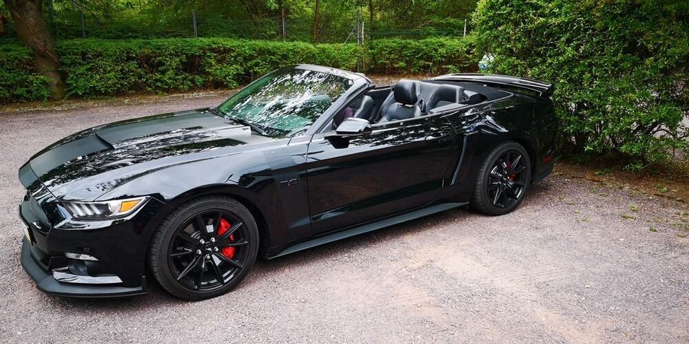 Mustang