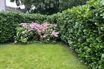Bungalow Wunstorf - 3 Zimmer, 65 m&sup2;, 369.000&euro; | Angebot:26926942