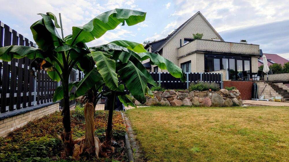 Mehrfamilienhaus, Wohnhaus Neustadt am Rübenberge Bordenau - 9 Zimmer, 259 m&sup2;, 519.000&euro; | Angebot:26196814