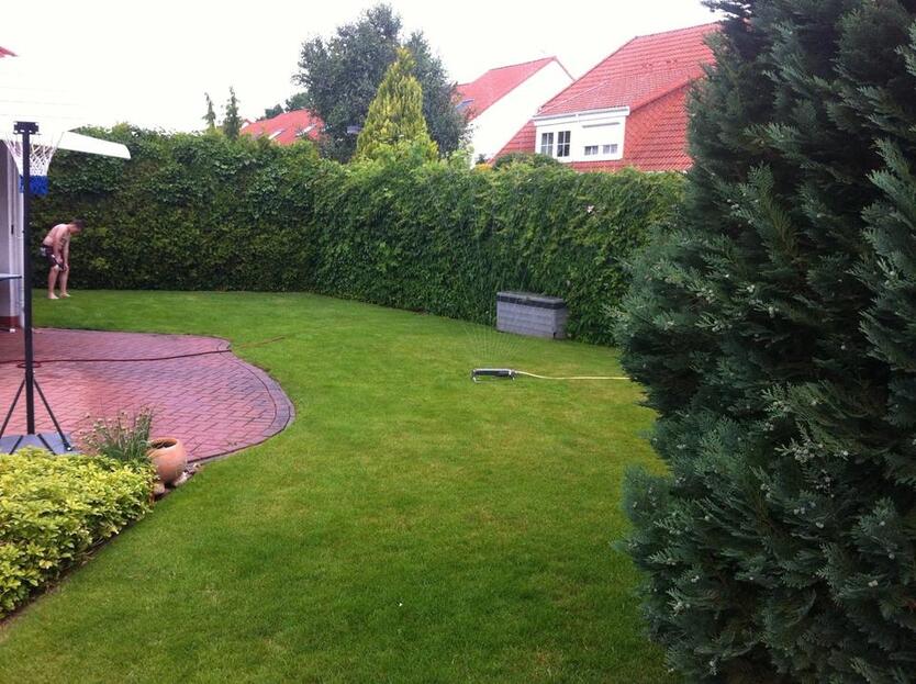 Doppelhaushälfte Hemmingen zimmer