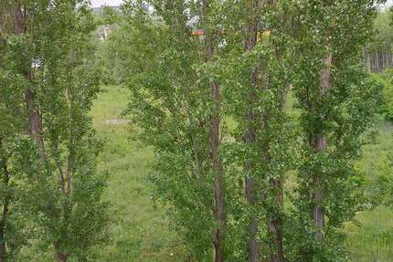 Grundstück in Hannover - Laatzen 1.995.000 € 5000 m² zimmer