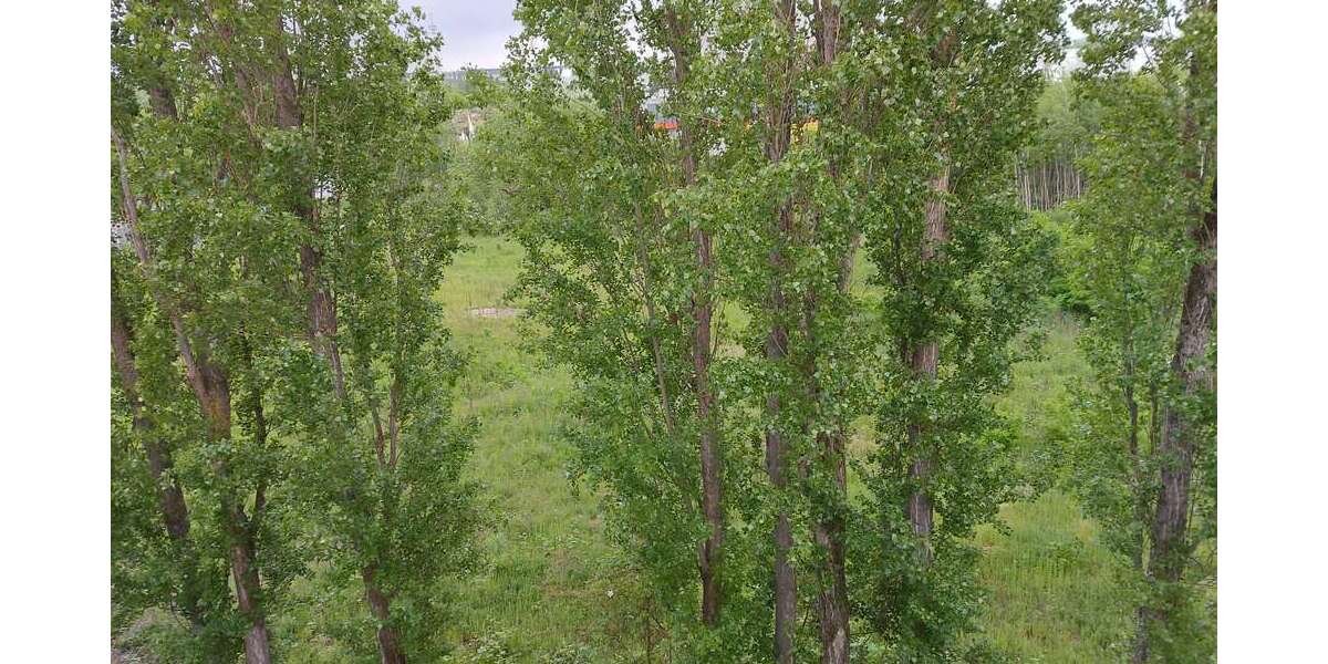 Grundstück in Hannover - Laatzen 1.995.000 € 5000 m² zimmer