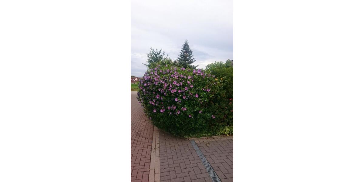 Bungalow Ronnenberg - 4 Zimmer, 120 m&sup2;, 579.900&euro; | Angebot:26647831