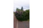 Bungalow Ronnenberg - 4 Zimmer, 120 m&sup2;, 579.900&euro; | Angebot:26647831