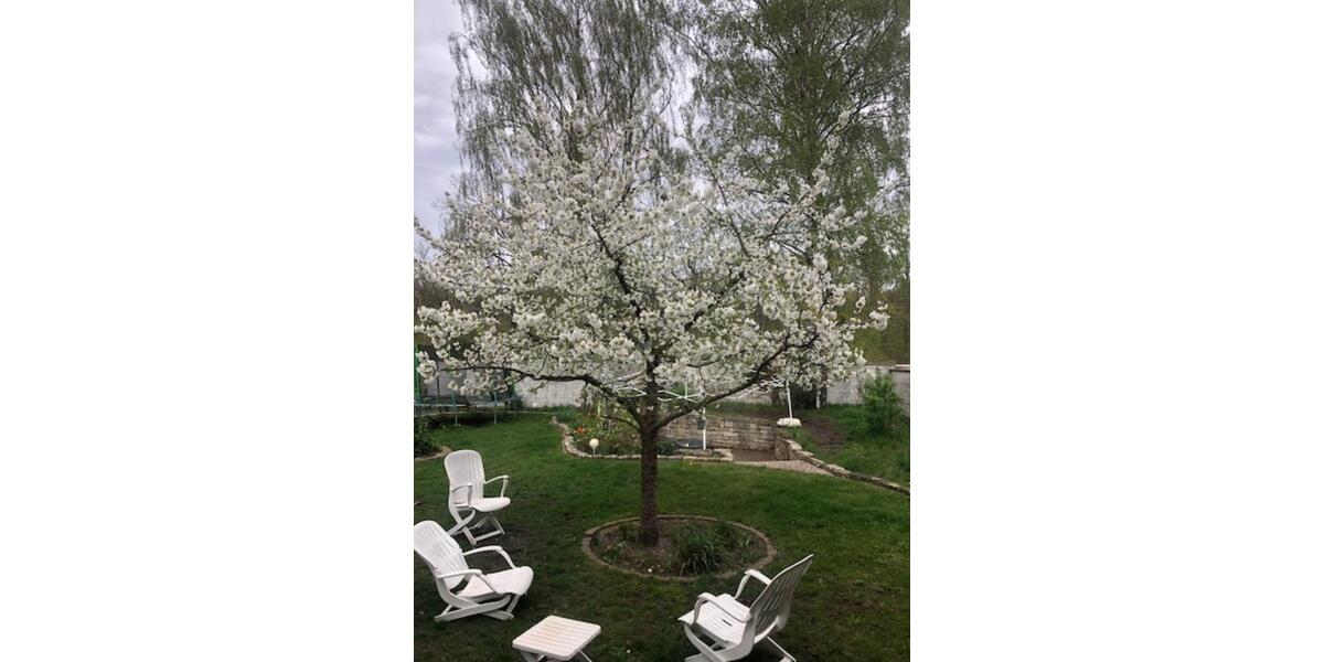 Doppelhaushälfte Hannover Misburg-Anderten - 7 Zimmer, 135 m&sup2;, 358.000&euro; | Angebot:24351632